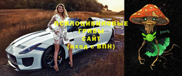 первитин Богданович