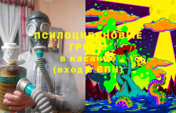 синтетический гашиш Богородицк